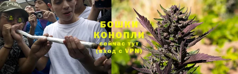 Канабис White Widow  Болохово 